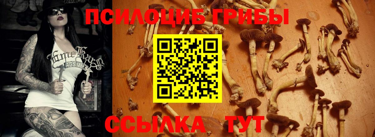 Галлюциногенные грибы Magic Shrooms Муравленко
